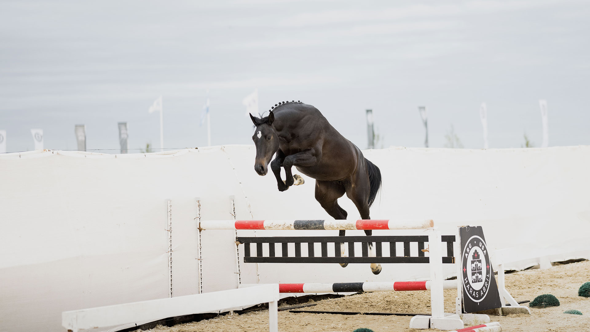 Caballos Haras Abril
